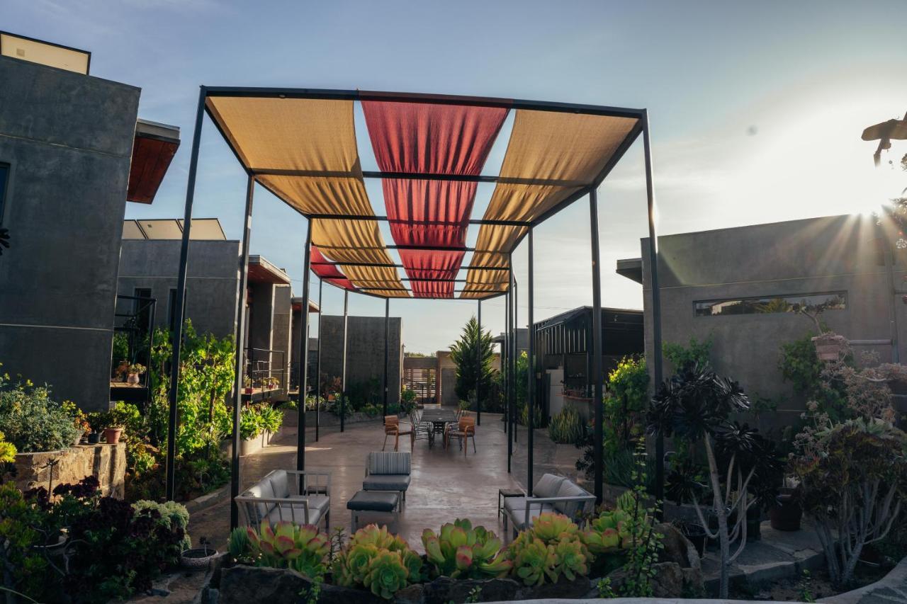 Entre Vides Valle de Guadalupe Extérieur photo