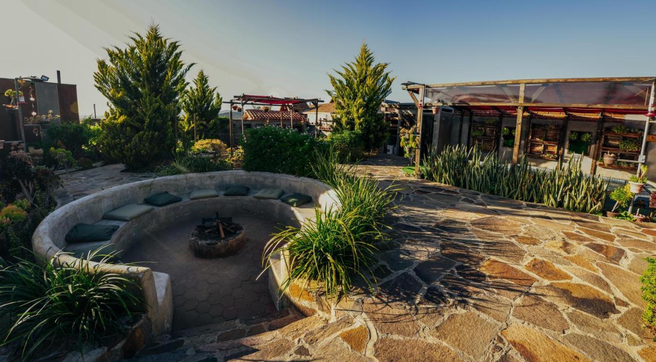 Entre Vides Valle de Guadalupe Extérieur photo