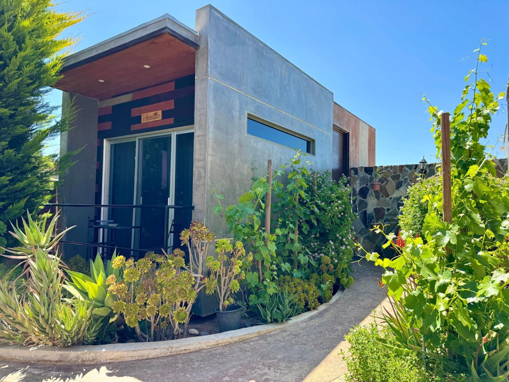 Entre Vides Valle de Guadalupe Extérieur photo